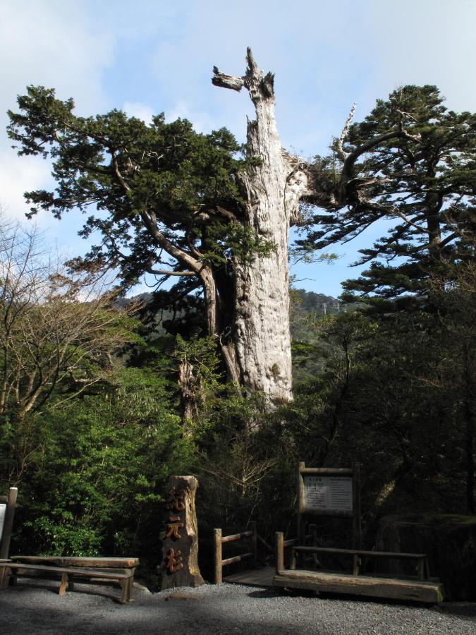 Hotel Yakushima Sanso Екстериор снимка